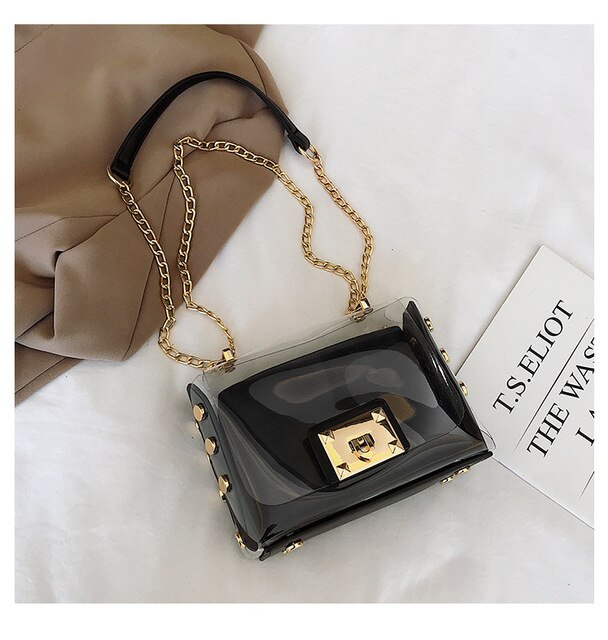 Transparent Luxury Bag